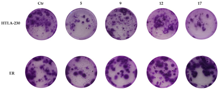 Figure 9