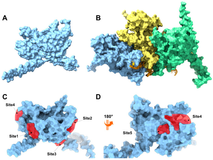 Figure 6