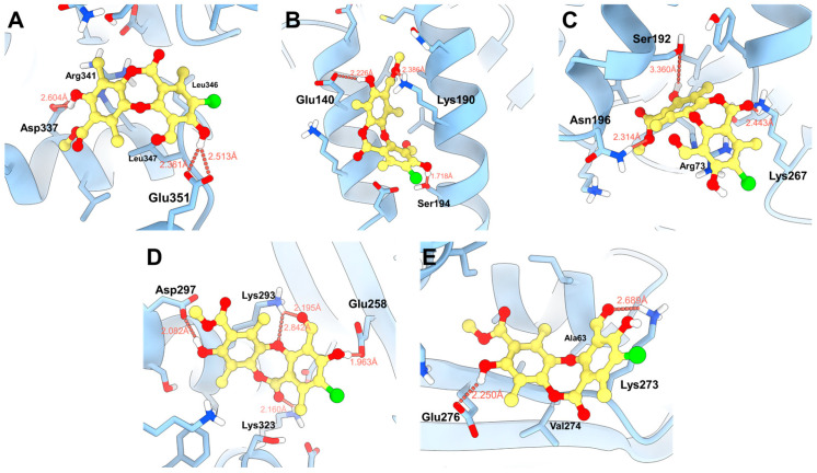 Figure 7