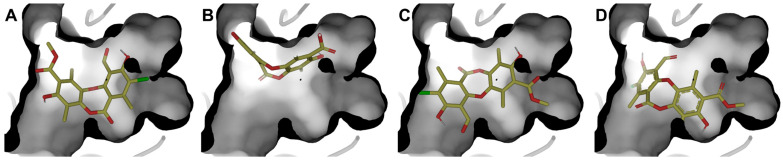 Figure 8
