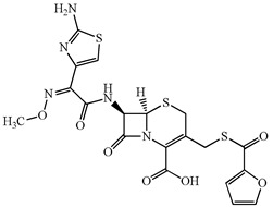 Figure 11