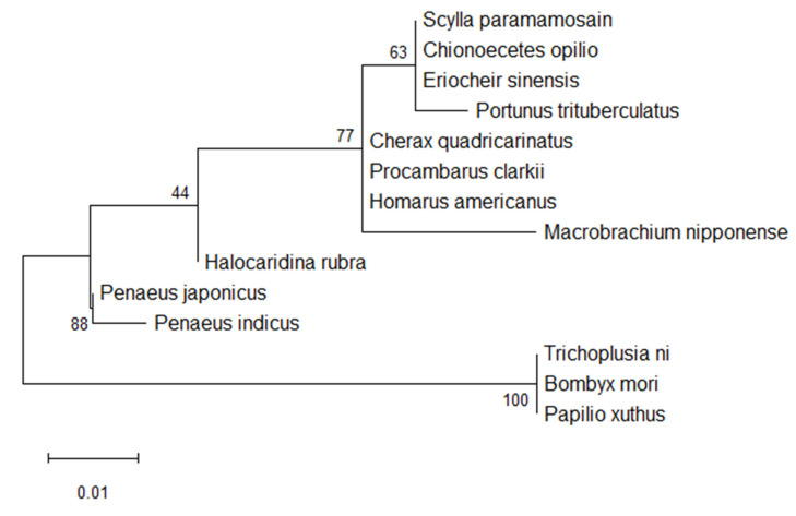 Figure 3