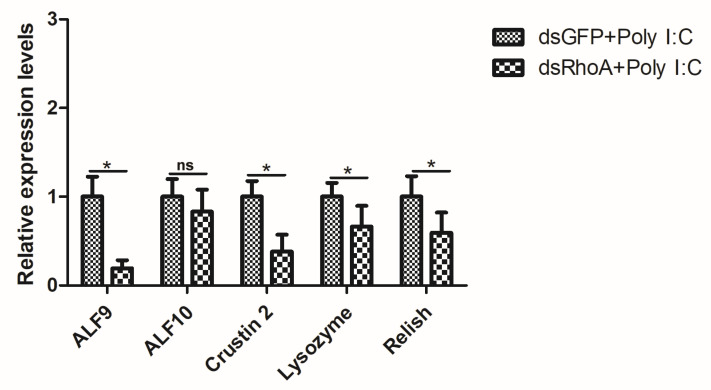 Figure 7