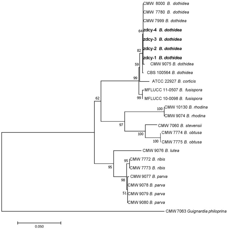 Figure 4