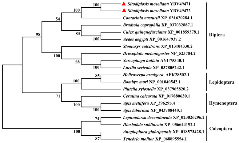Figure 2
