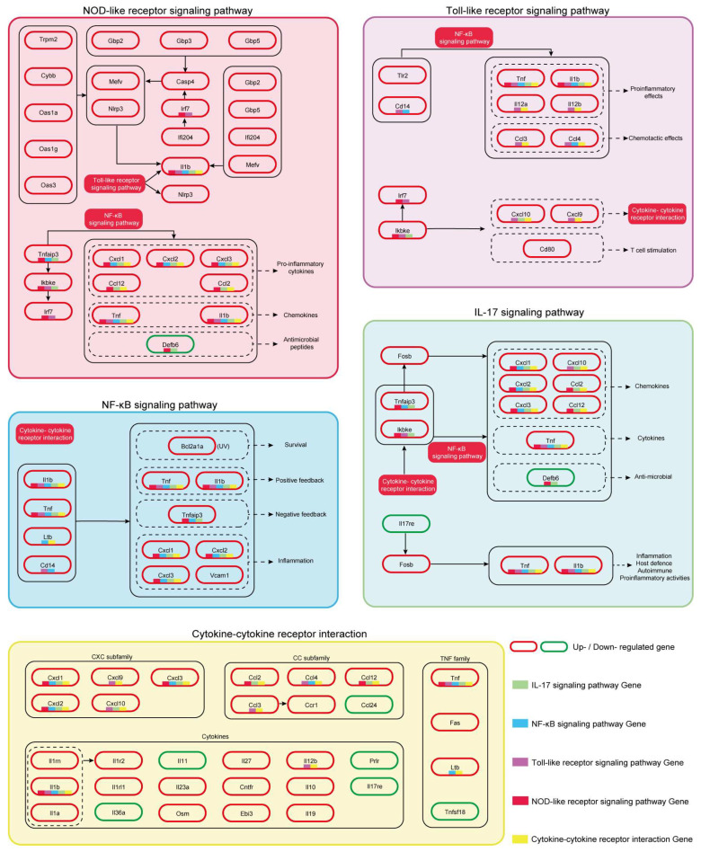 Figure 11