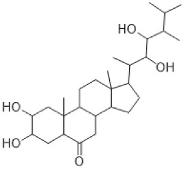 Figure 14