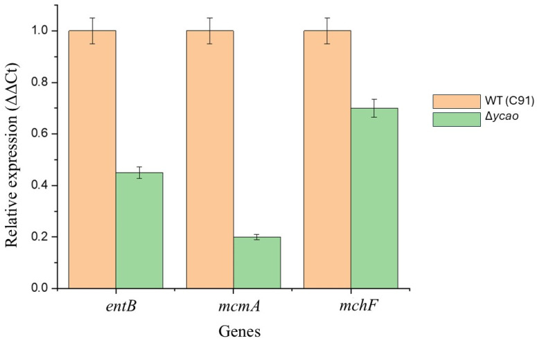 Figure 4