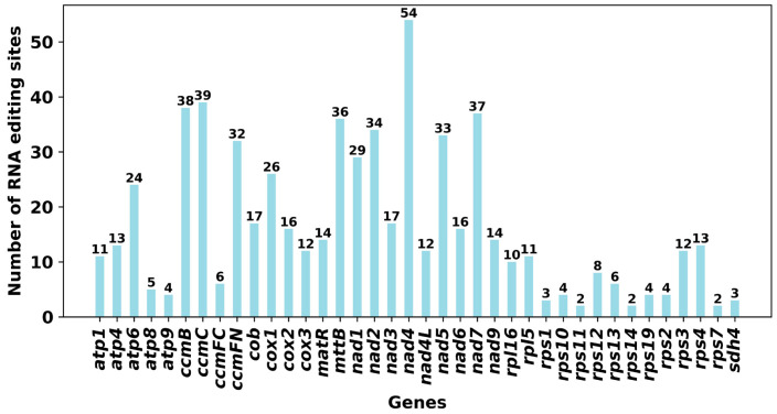 Figure 7
