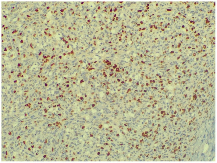 Figure 7