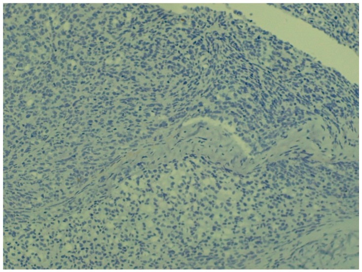 Figure 10