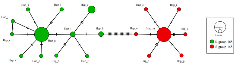Figure 8