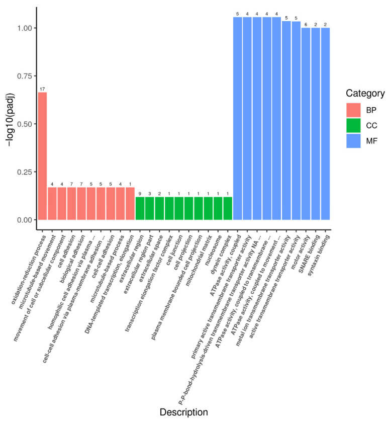 Figure 5