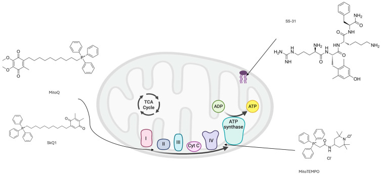 Figure 2