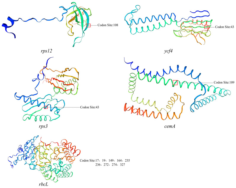 Figure 9