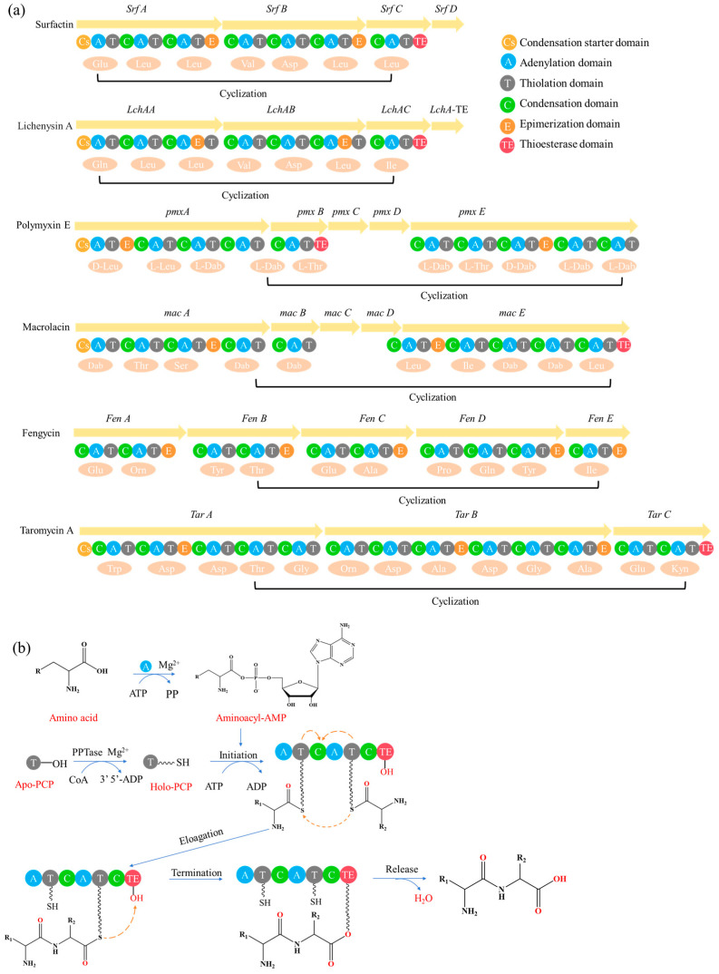 Figure 10