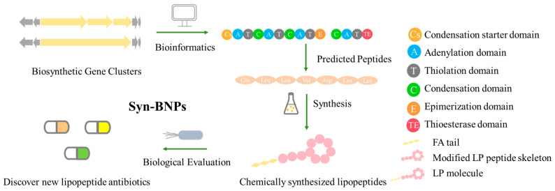 Figure 13