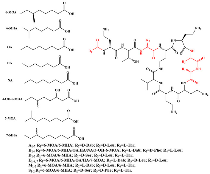 Figure 15