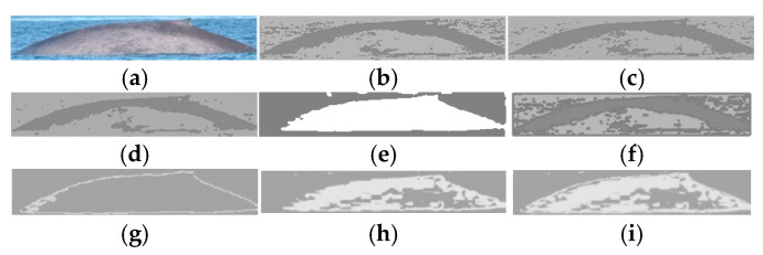 Figure 8