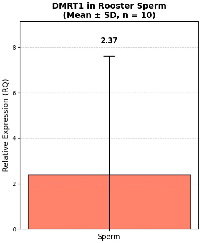 Figure 5