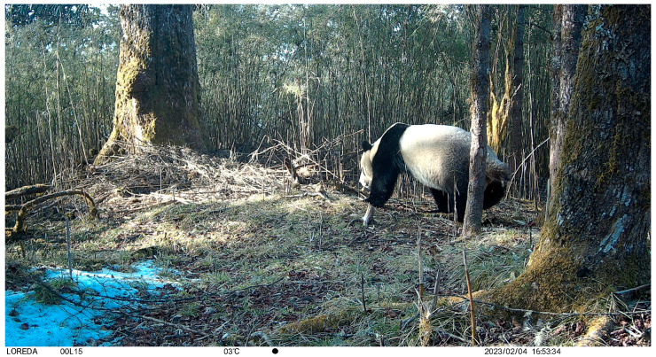 Figure 14