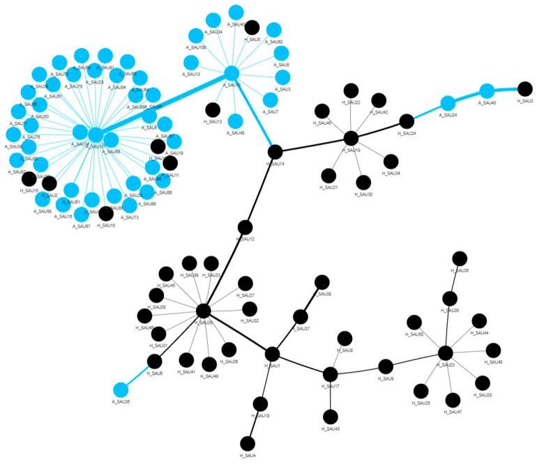 Figure 7