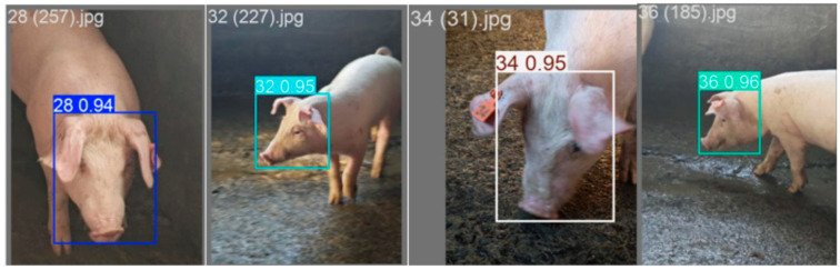Figure 11