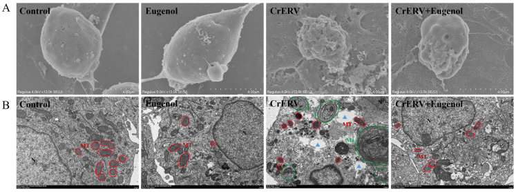 Figure 6