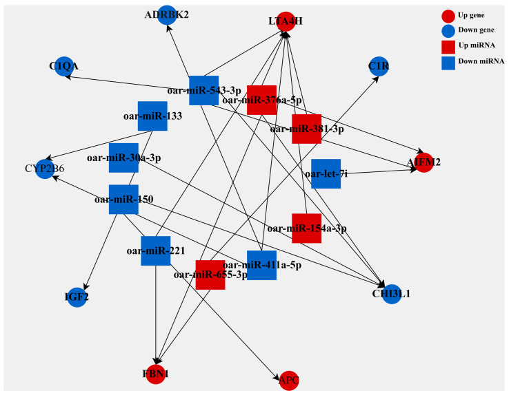 Figure 5