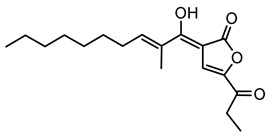 Figure 24