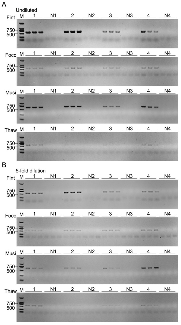 Figure 10