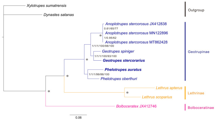 Figure 6