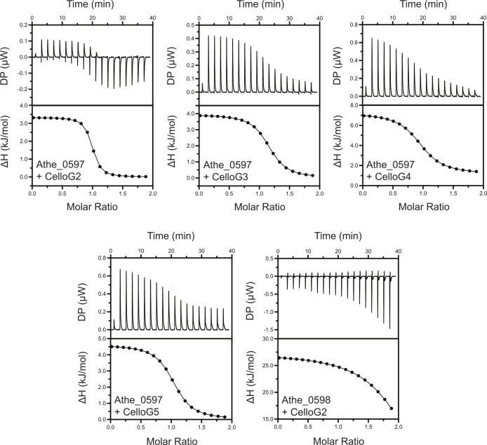 Fig 3