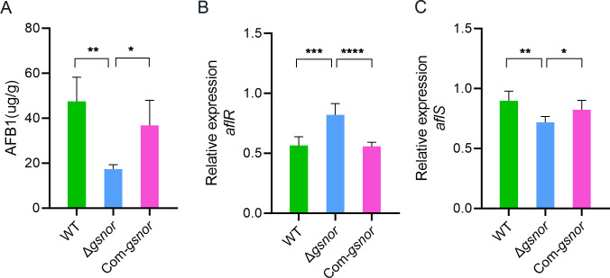 Fig 6