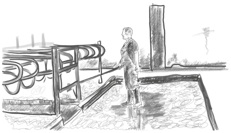 Figure 7