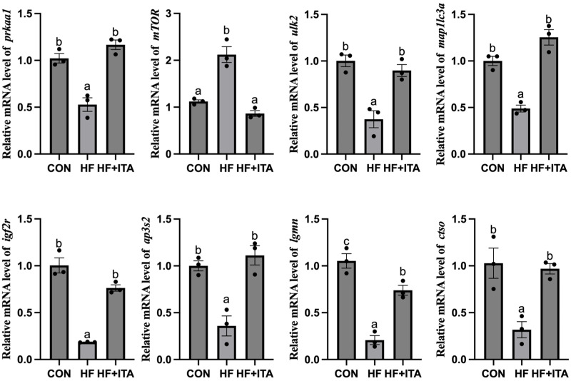 Figure 11