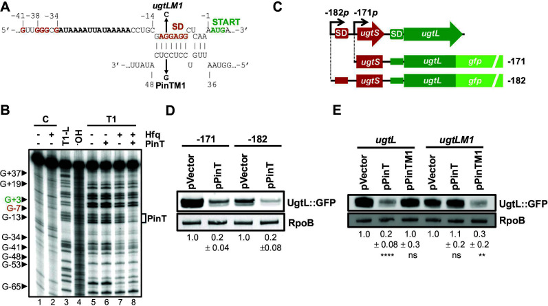 Fig 3