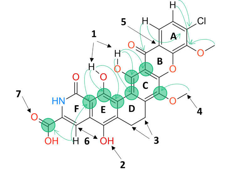 Fig 5