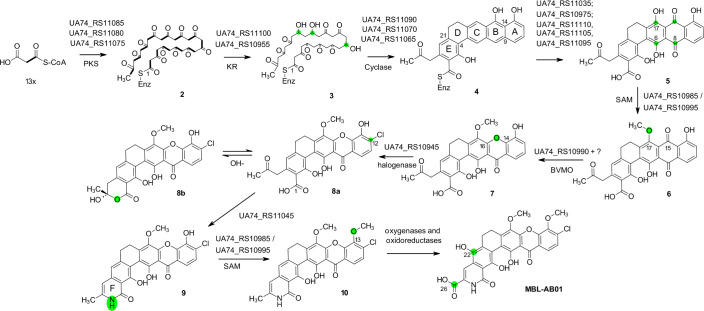 Fig 6