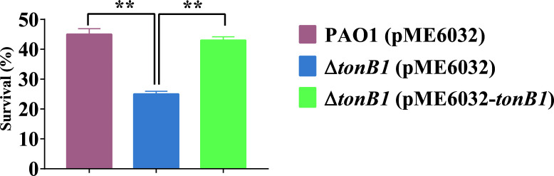 Fig 5