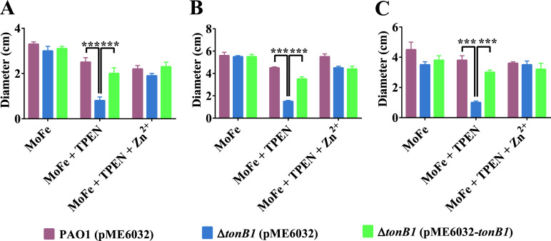 Fig 6