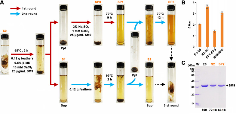 Fig 8