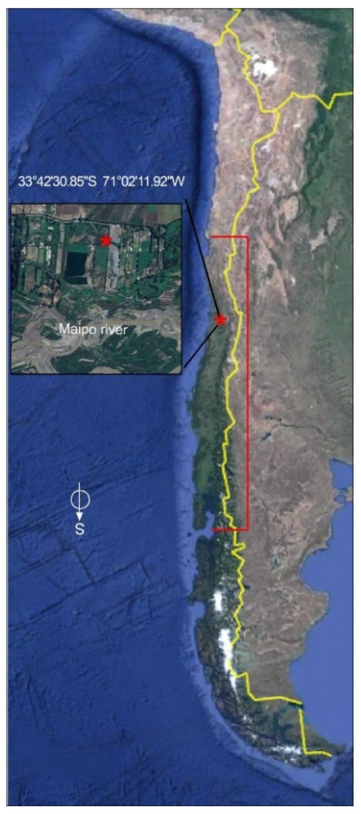 Figure 9