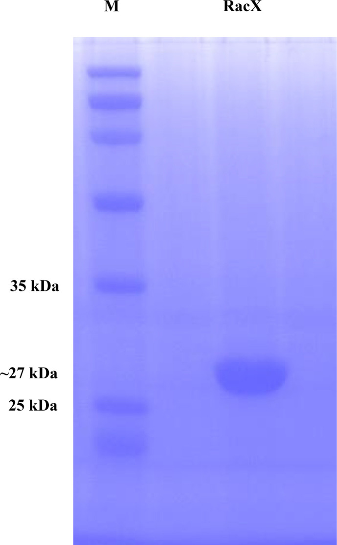 Fig 5