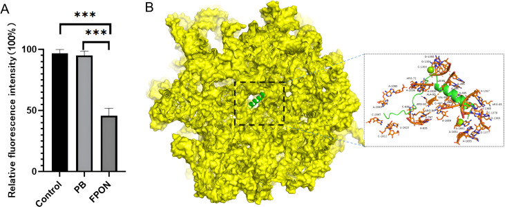 Fig 5