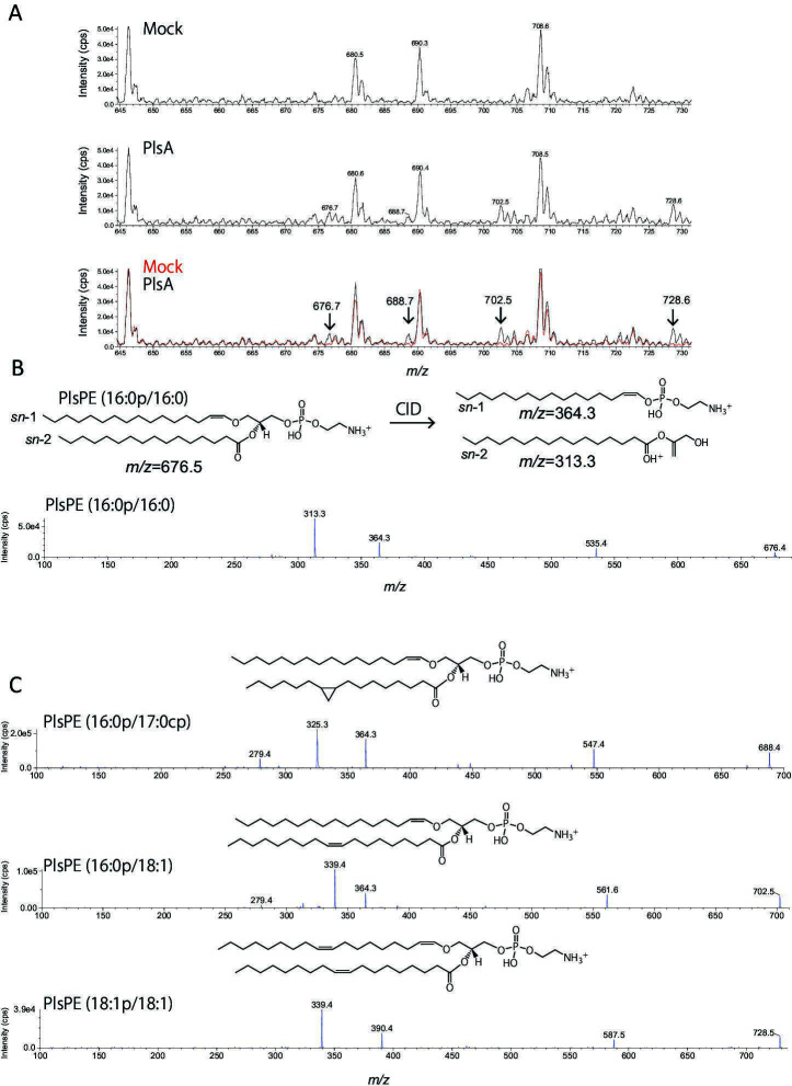 Fig 4