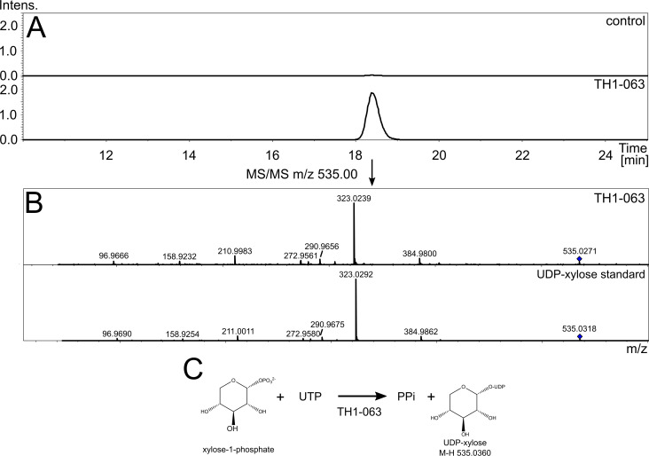 Fig 5