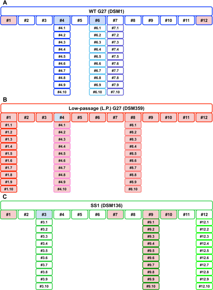 Fig 4