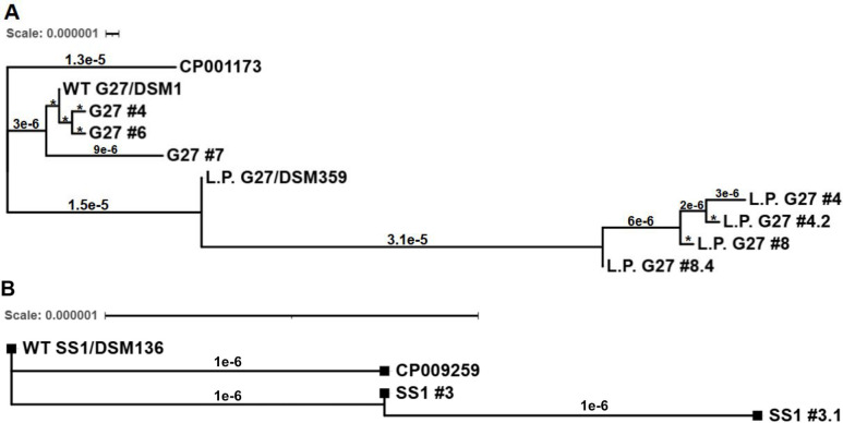 Fig 5