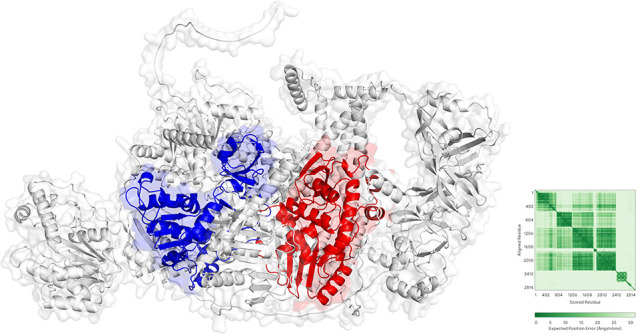 Fig 8